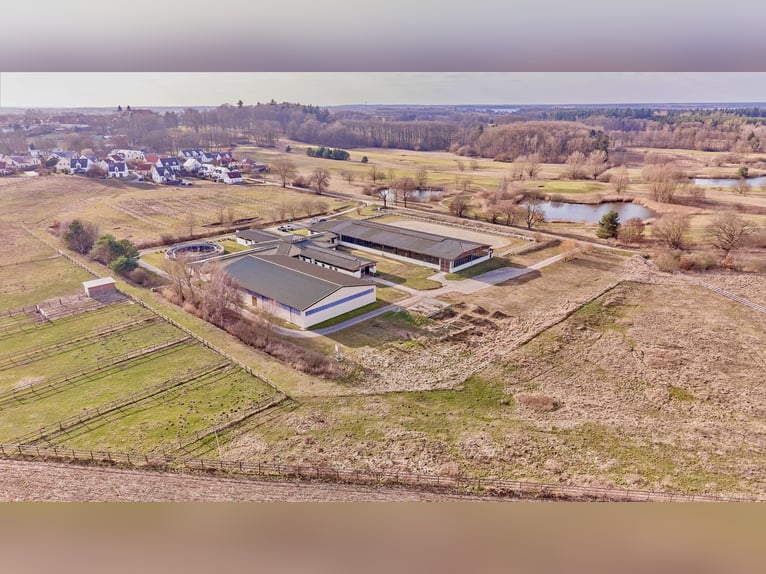 Impresa equestre in Meclemburgo-Pomerania Anteriore – situata direttamente sul Lago di Meclemburgo, 