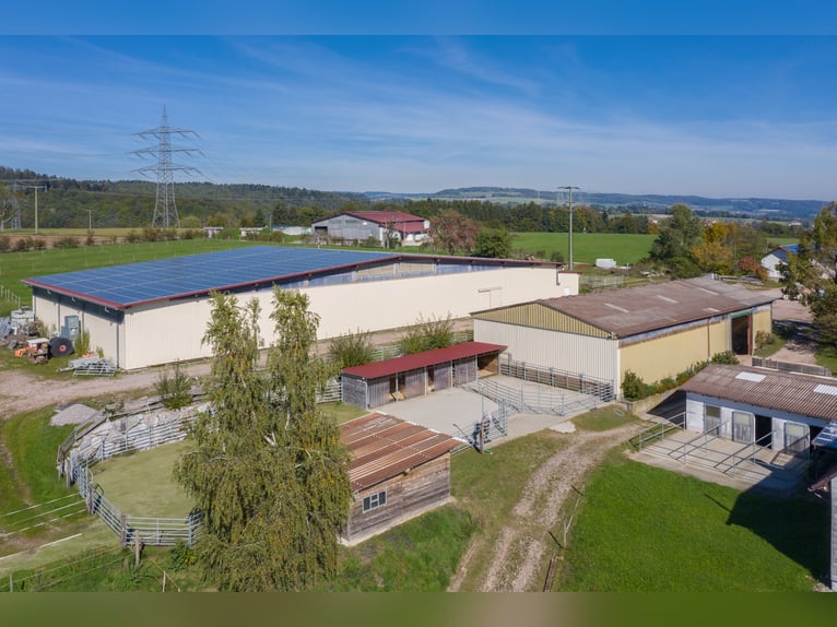 Impresa equestre situata a sud