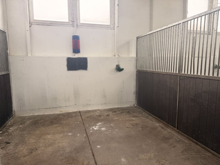 In affitto, stabile con 12 box e molte opzioni, a sud di Berlino – ideale per un'azienda di preparaz