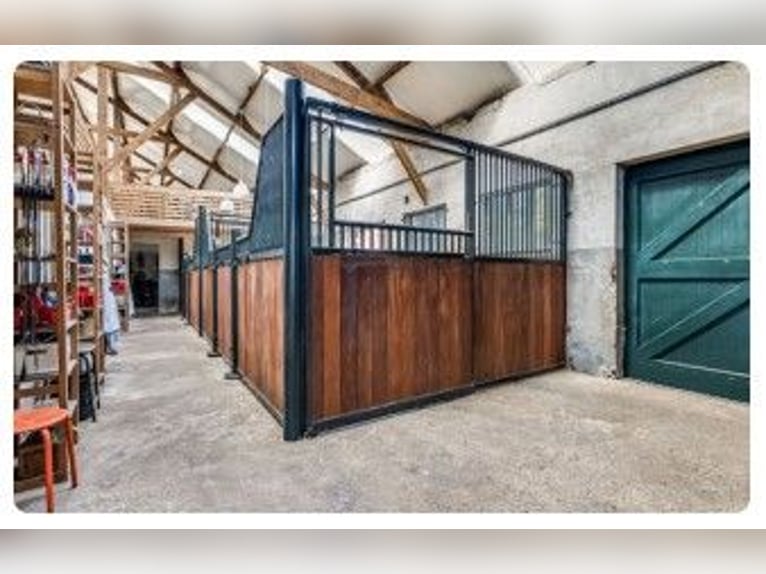 Incantevole azienda agricola equestre a Kootwijkerbroek, Veluwe, in vendita