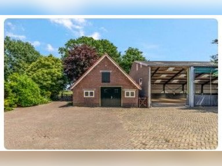 Incantevole azienda agricola equestre a Kootwijkerbroek, Veluwe, in vendita