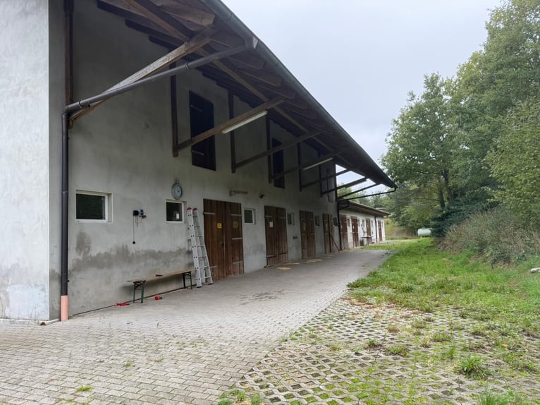 Incantevole proprietà rurale con casa e stalle in Bassa Franconia