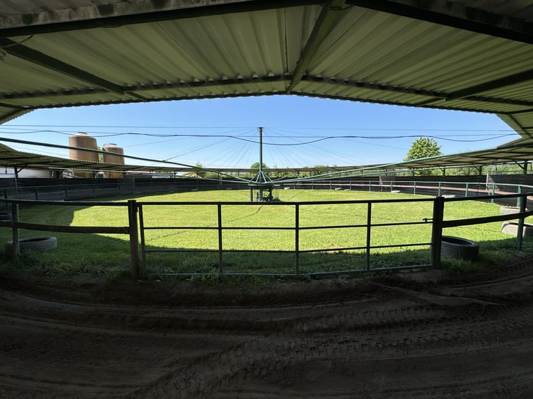 Kompakte Reitsportanlage im Herzen von Ostwestfalen-Lippe