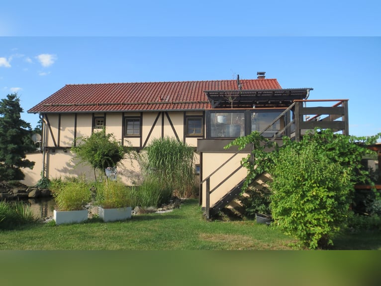 La fortuna ha una casa ben curata con appartamento + monolocale in periferia di Plauen / Metropoli d