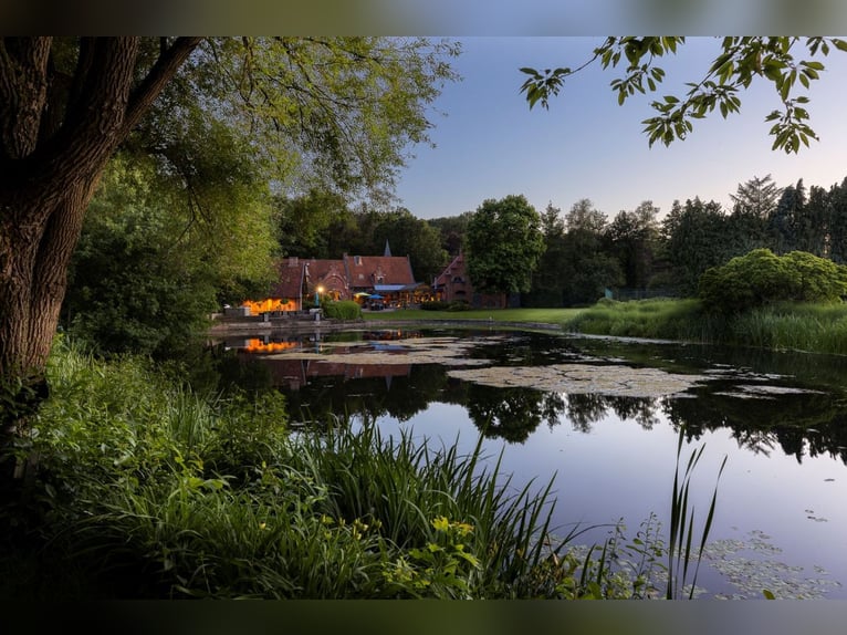 Landgoed van ca. 6 Ha met karakteristieke kasteelhoeve en prachtige parktuin