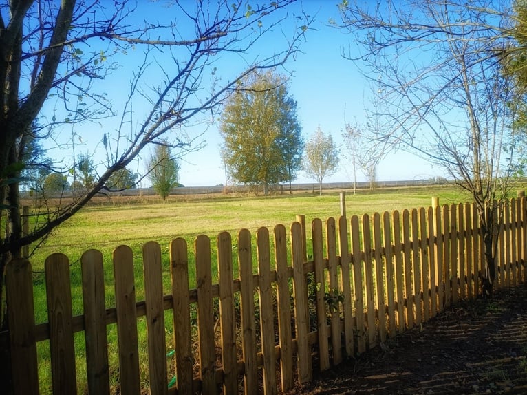 Lovely Equestrian property in Italy  