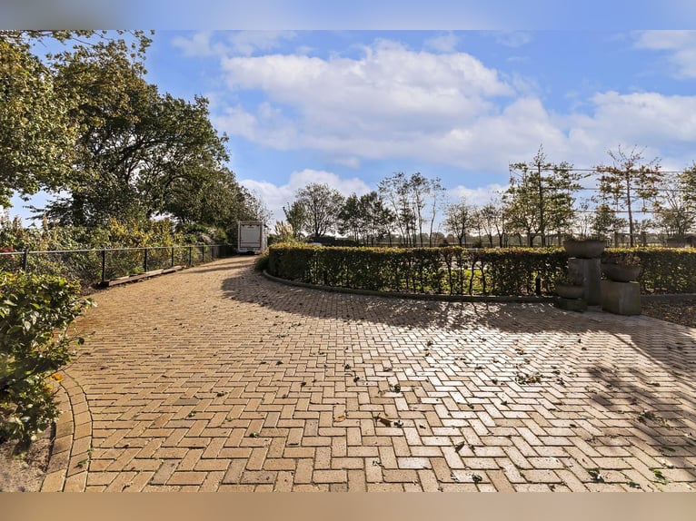 Luxury detached home with office outbuilding, wellness pool, gym & stables for 4 horses