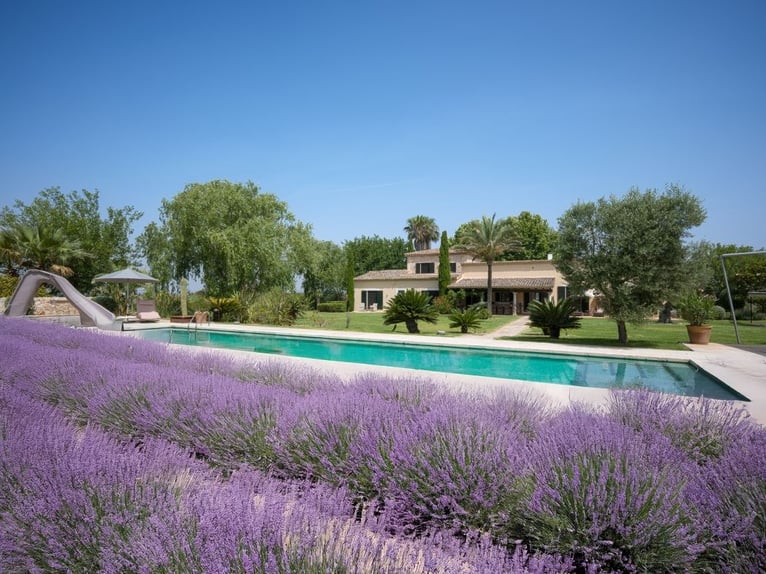 Mallorca - Finca mit Möglichkeit zur Pferdehaltung und tollem Ausreitgebiet