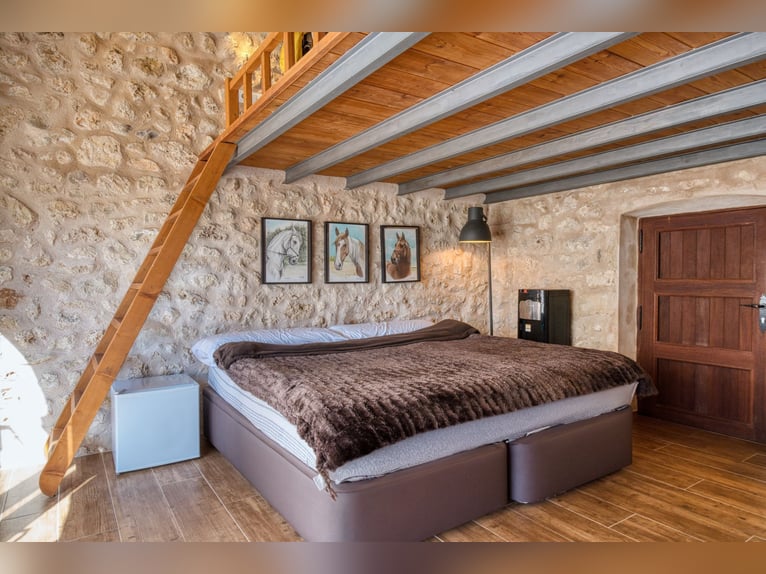 Mallorca: Große Finca auf 4,8 Hektar Land mit Stallungen