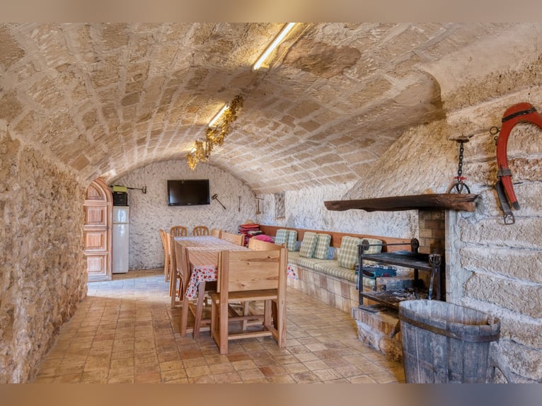 Mallorca: Große Finca auf 4,8 Hektar Land mit Stallungen