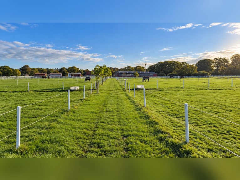 Moderna struttura equestre su 3,4 ettari – maneggio coperto, 13 box, camera del sale e 2 campi da eq