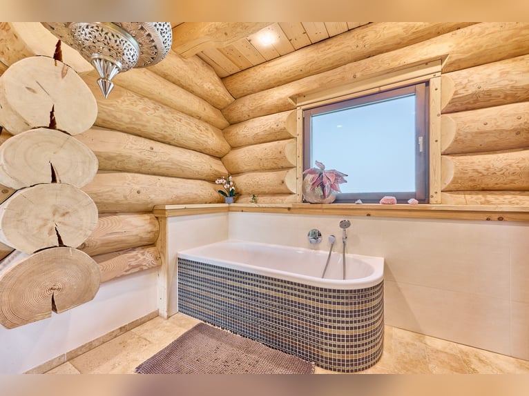 Moderne Reitanlage zu verkaufen in Hütschenhausen – stilvolles & energieeffizientes Wohnen inklusive