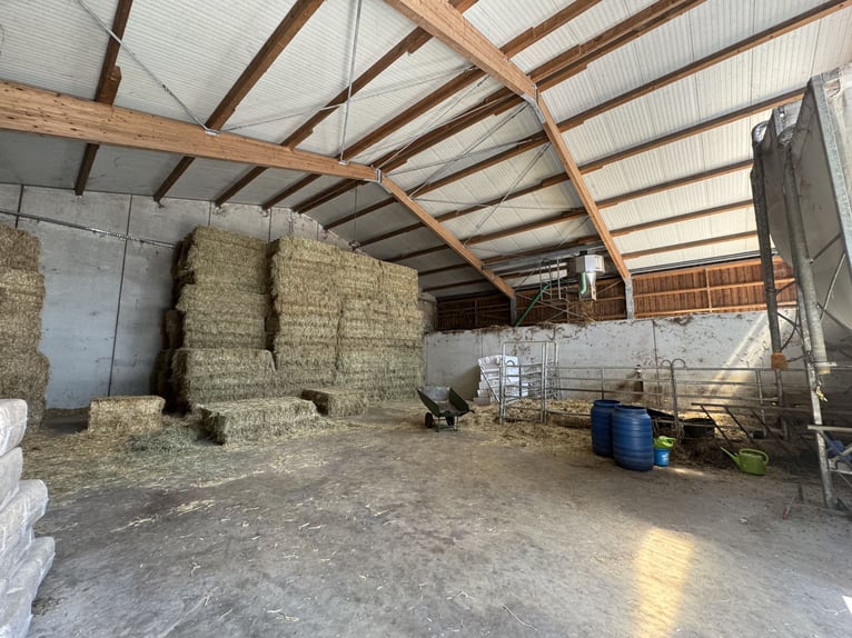 Moderne und rentable Reitanlage im Einzugsgebiet Bonn/Köln mit hochwertigem Wohnhaus