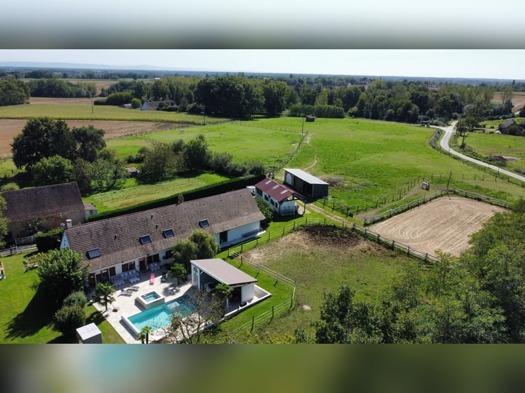 Oasi di pace equestre