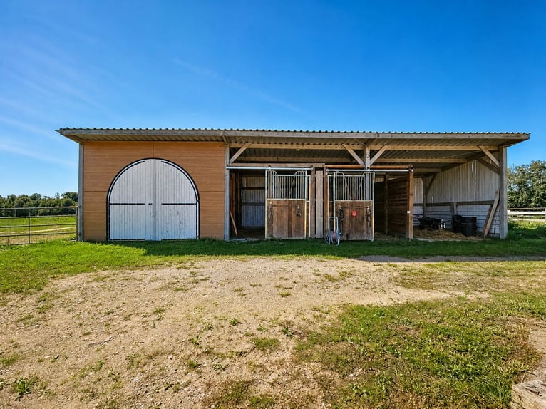 Oasi di pace equestre
