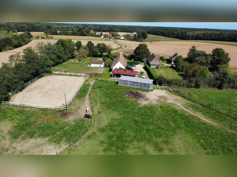 Oasi di pace equestre