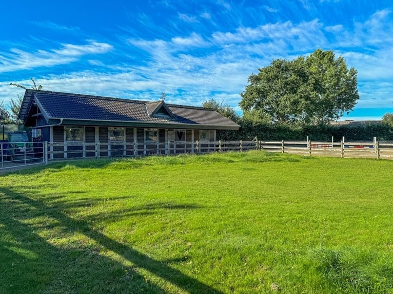 Paradies für Pferdeliebhaber: Reetdachanwesen auf ca. 3,38 ha großen Grundstück mit Nebengebäuden