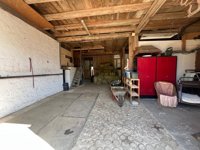 Paradiso equestre - romantico maneggio con maneggio coperto, 6 box e abitazione