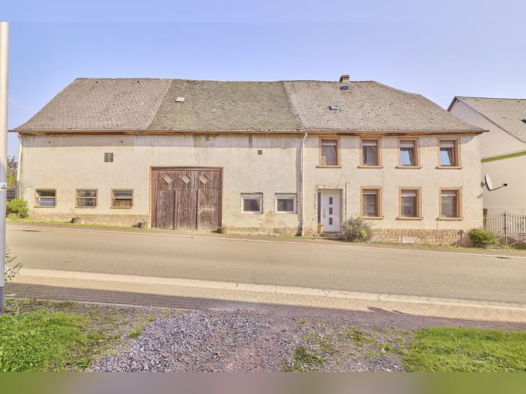 Pferdeimmobilie im Kreis Birkenfeld mit kleiner Reithalle und Pferdeboxen in Niederhambacher Waldran