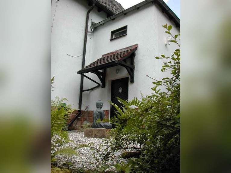 Piccola gemma nell'Odenwald (casa con box e campo da equitazione)