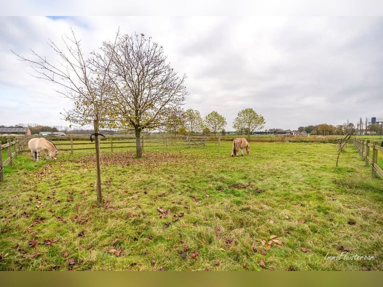 Prachtig gerenoveerde villa met grote garage en stalgebouw op 8.875 m² te Retie