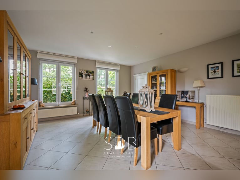 Prachtig landhuis met paardenfaciliteiten op 15.804m² te Haasdonk