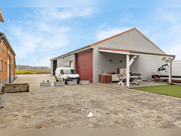 Prachtige villa in hoevestijl met bijgebouwen en graslanden op 89.070m² - 2811 Leest