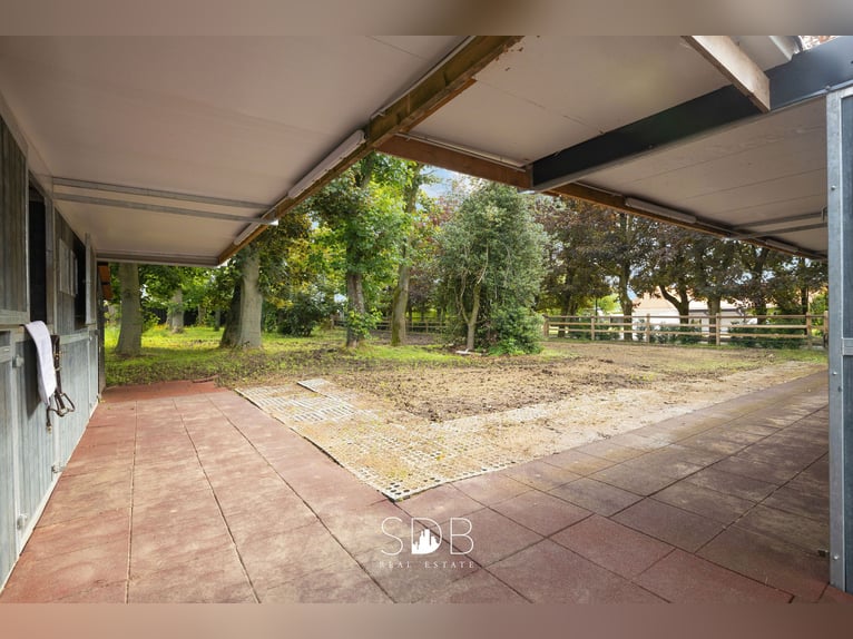 Prachtige villa met zwembad, paardenstallen, paddock en grasland op 1,3HA - 1790 Affligem