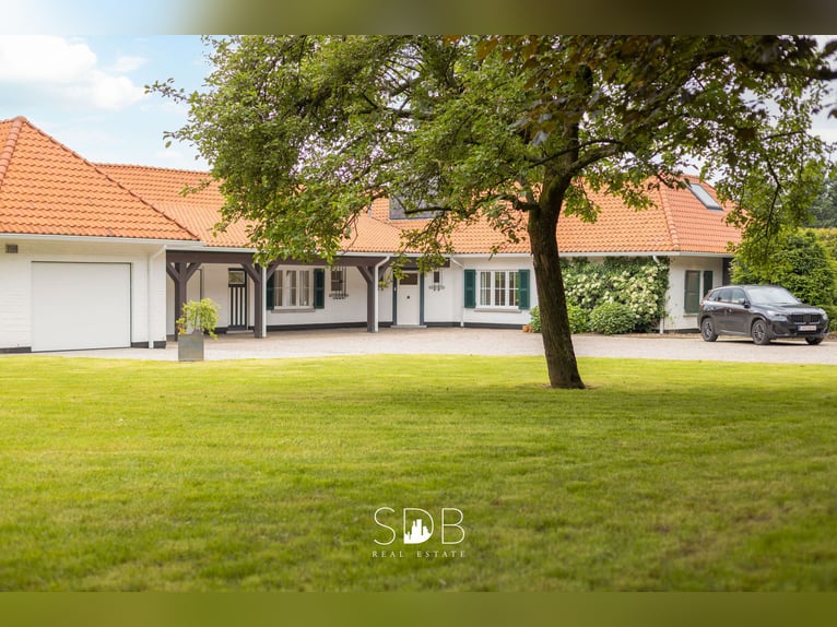 Prachtige villa met zwembad, paardenstallen, paddock en grasland op 1,3HA - 1790 Affligem