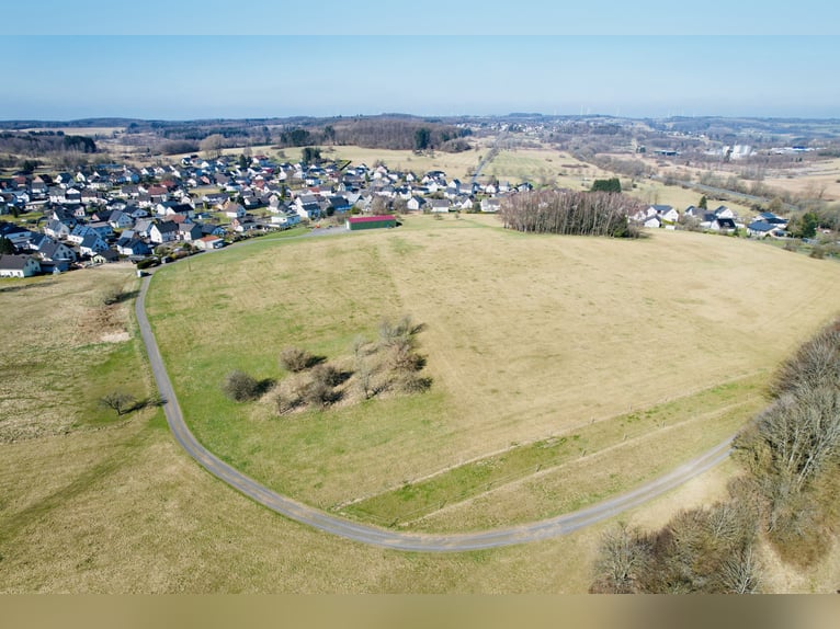 PREISREDUZIERUNG: Traumhaftes Anwesen im Westerwald - Wohnen, Leben und Pferdehaltung vereint