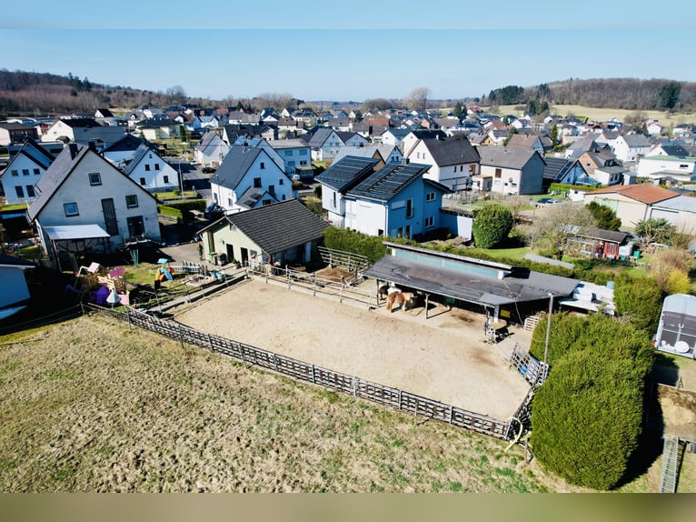 PREISREDUZIERUNG: Traumhaftes Anwesen im Westerwald - Wohnen, Leben und Pferdehaltung vereint