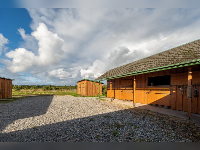 Privata tenuta equestre chiavi in mano vicino a Tallinn – 26,5 ettari di terreno, scuderia, cavalli