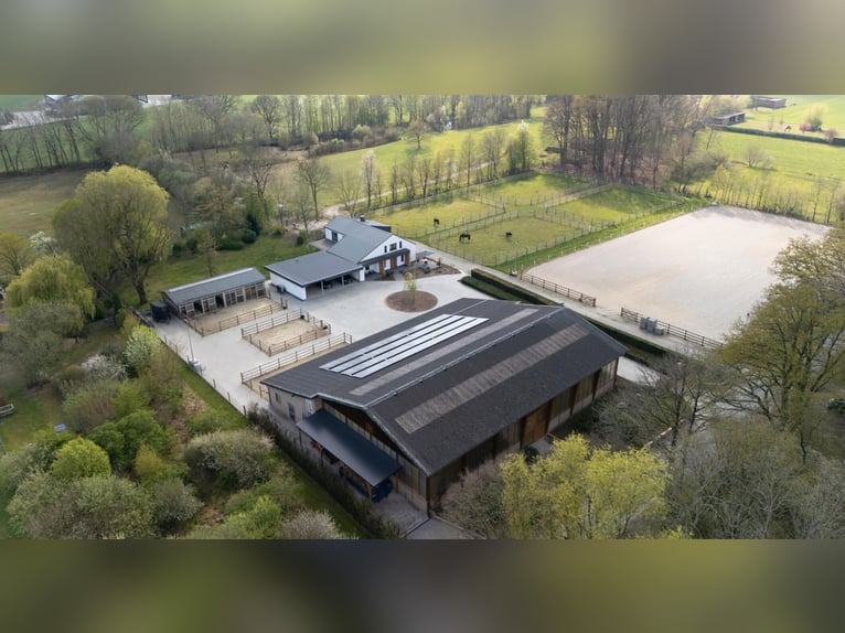 Private Reitanlage - top renoviert inkl. Halle, großer Außenplatz und Wiesen. alles eingezäunt.