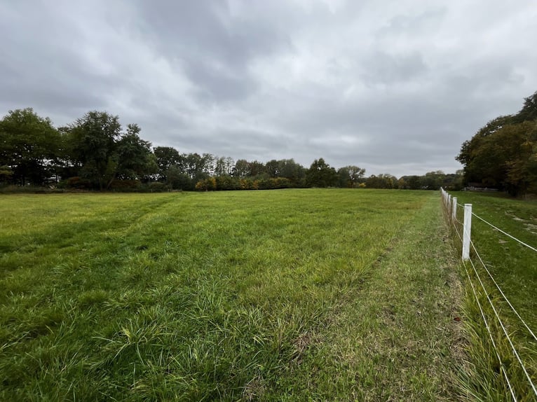 Private Reitanlage - top renoviert inkl. Halle, großer Außenplatz und Wiesen. alles eingezäunt.