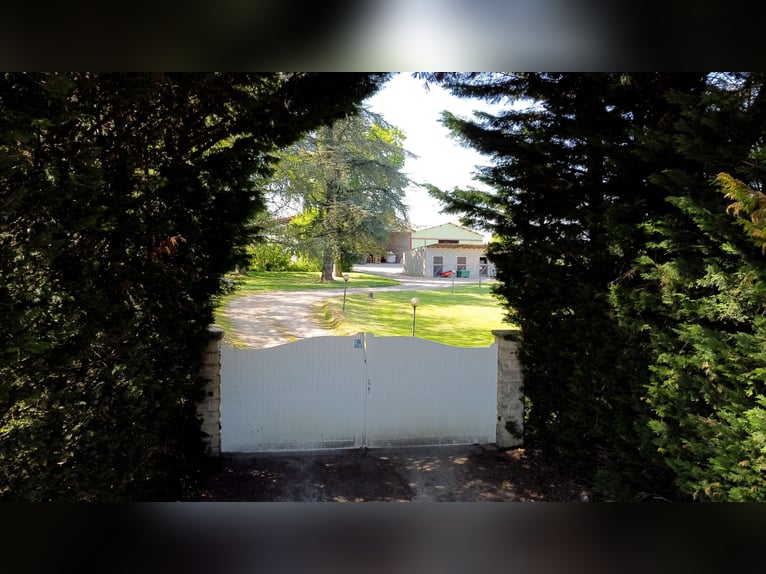 Proprietà equestre alle porte di Mâcon