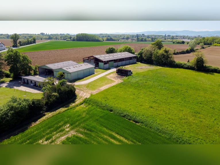Proprietà equestre alle porte di Mâcon