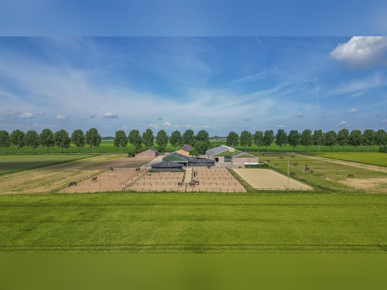 Proprietà equestre compatta con vista panoramica sulla campagna!