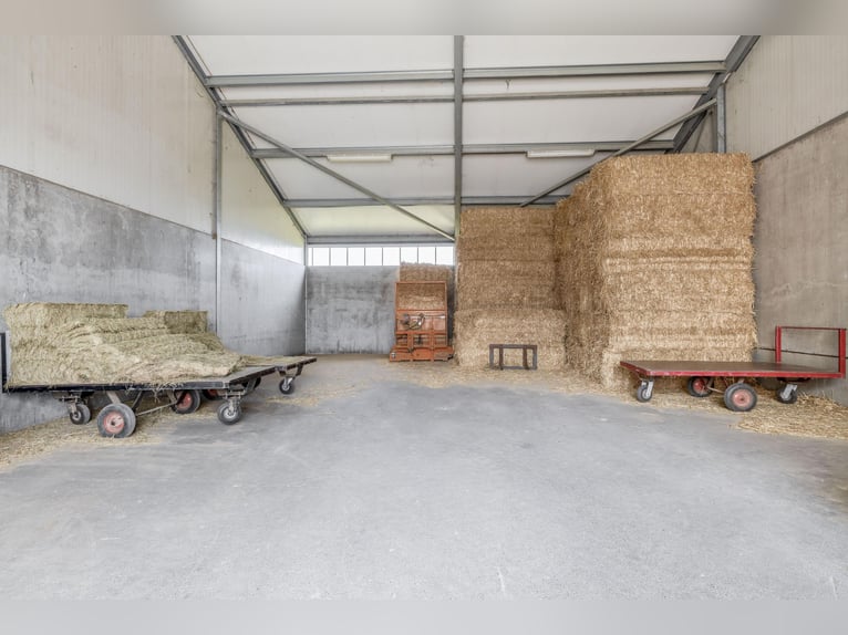 Proprietà equestre compatta con vista panoramica sulla campagna!