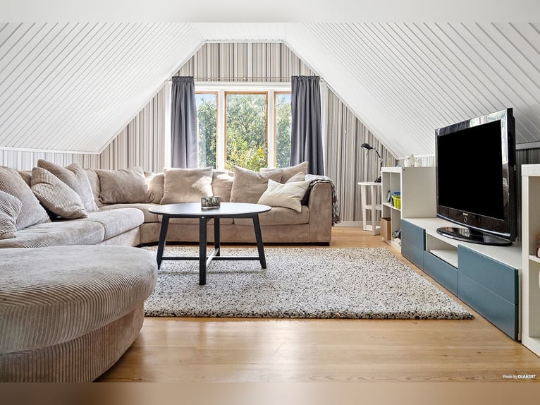 Proprietà equestre con infinite possibilità!