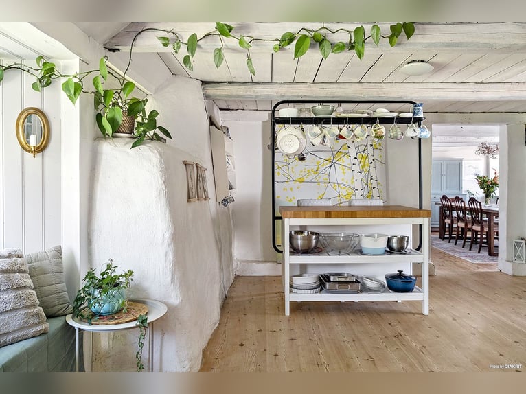 Proprietà equestre con infinite possibilità!