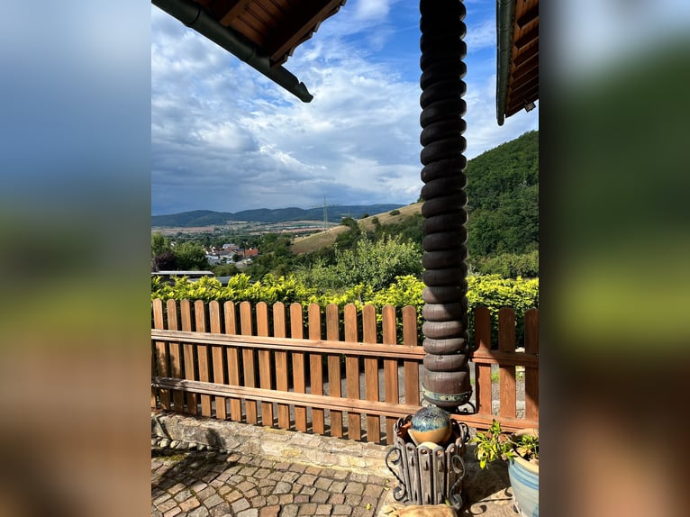 Proprietà equestre unica nella regione della Palatinato – 5,8 ettari, casa, stalla, maneggio coperto