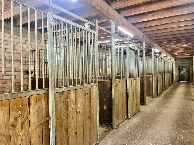 Proprietà equestre unica nella regione della Palatinato – 5,8 ettari, casa, stalla, maneggio coperto