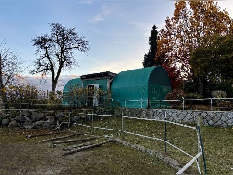 Proprietà equina ben curata - 5.000 mq, arena di sabbia e vista sulle Alpi | Vicino alla Svizzera | 