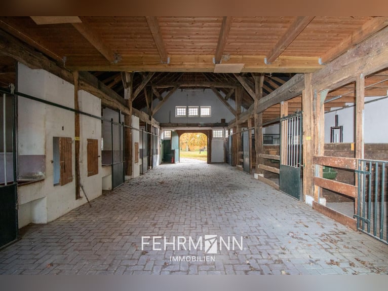 Proprietà esclusiva con villa, centro e strutture equestre, e complesso coperto, situata su un lago 