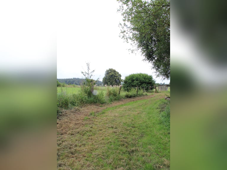 Ranch e centro ippico affermato – circa 8 ettari di terreno pianeggiante – versatile utilizzo