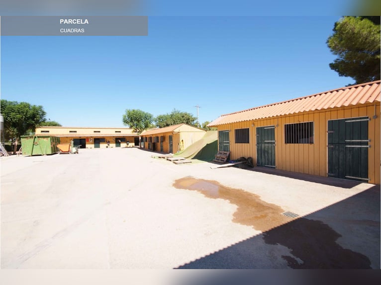 Ref 2535Sg Spanien, Valencia, Bétera - elegante Villa mit Reitstall zu verkaufen!