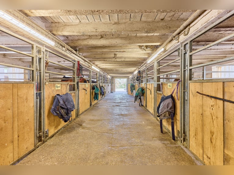 Reitanlage bei Villingen-Schwenningen mit lukrativer PV-Anlage, zwei Reithallen in traumhafter Lage!