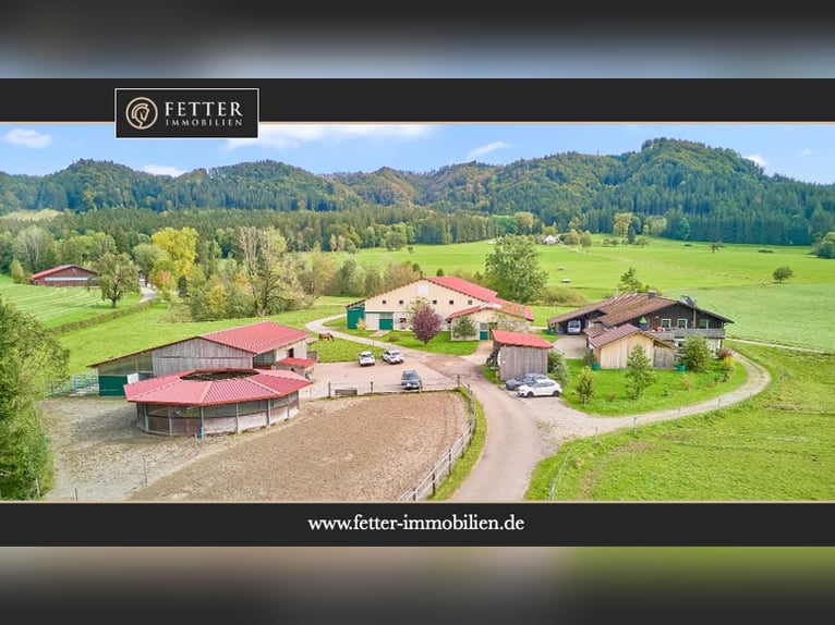 Reitanlage im Allgäu in malerischer Natur- Leben zwischen Bergen und Wäldern!