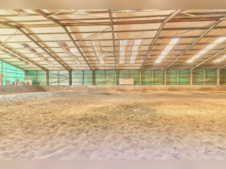 Reitanlage im Rhein-Main-Gebiet in Egelsbach mit mehr als 20 Hektar Fläche!
