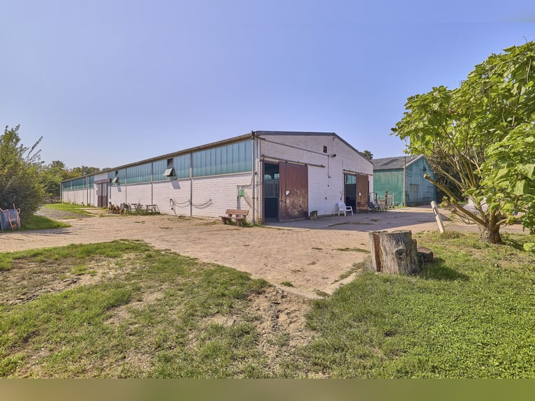 Reitanlage im Rhein-Main-Gebiet in Egelsbach mit mehr als 20 Hektar Fläche!